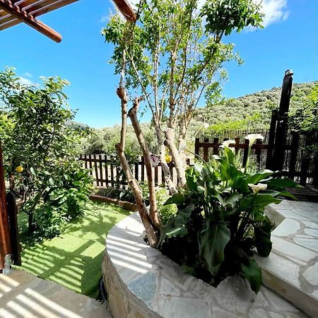 Nikithianos Platipodi Stone Houseヴィラ エクステリア 写真