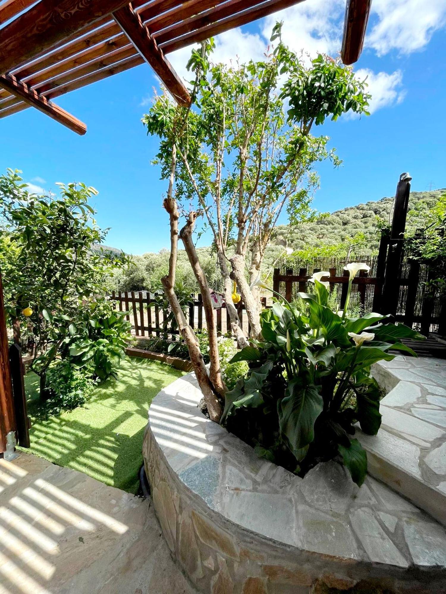 Nikithianos Platipodi Stone Houseヴィラ エクステリア 写真
